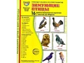 Демонстрационные картинки СУПЕР. Зимующие птицы (16 шт.) в папке