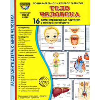 Демонстрационные картинки СУПЕР в папке. Тело человека (16 шт.)