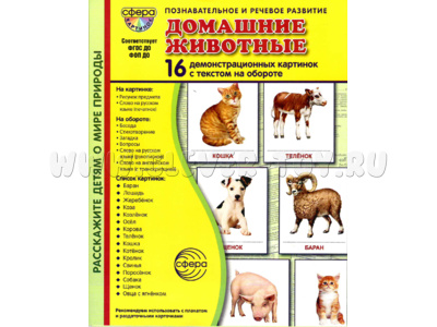 Демонстрационные картинки СУПЕР в папке. Домашние животные (16 шт.)