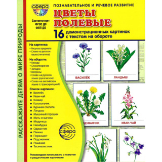 Демонстрационные картинки СУПЕР в папке. Цветы полевые (16 шт.)